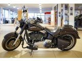 Harley-Davidson Fat Boy bei Sportwagen.expert - Abbildung (2 / 15)