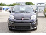 Fiat Panda bei Sportwagen.expert - Abbildung (3 / 15)