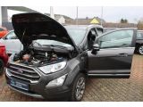 Ford EcoSport bei Sportwagen.expert - Abbildung (9 / 15)