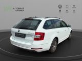 Skoda Octavia bei Sportwagen.expert - Abbildung (6 / 15)