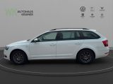 Skoda Octavia bei Sportwagen.expert - Abbildung (2 / 15)