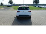 Seat Arona bei Sportwagen.expert - Abbildung (4 / 15)