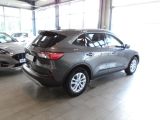 Ford Kuga bei Sportwagen.expert - Abbildung (2 / 15)