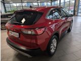 Ford Kuga bei Sportwagen.expert - Abbildung (2 / 15)