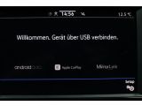 VW T6 bei Sportwagen.expert - Abbildung (3 / 11)