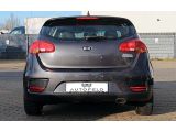 Kia Ceed bei Sportwagen.expert - Abbildung (5 / 14)