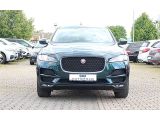 Jaguar F-Pace bei Sportwagen.expert - Abbildung (2 / 15)