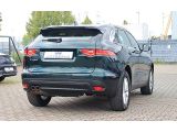 Jaguar F-Pace bei Sportwagen.expert - Abbildung (4 / 15)