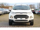 Ford EcoSport bei Sportwagen.expert - Abbildung (2 / 13)