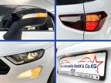 Ford EcoSport bei Sportwagen.expert - Abbildung (11 / 15)