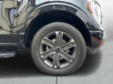 Ford F bei Sportwagen.expert - Abbildung (8 / 15)