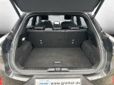 Ford Puma bei Sportwagen.expert - Abbildung (6 / 15)