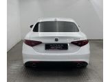 Alfa Romeo Giulia bei Sportwagen.expert - Abbildung (7 / 10)