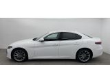 Alfa Romeo Giulia bei Sportwagen.expert - Abbildung (2 / 10)