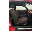 VW Beetle bei Sportwagen.expert - Abbildung (8 / 10)
