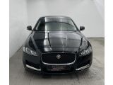 Jaguar XF bei Sportwagen.expert - Abbildung (6 / 10)