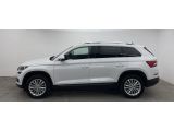 Skoda Kodiaq bei Sportwagen.expert - Abbildung (2 / 10)