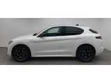 Alfa Romeo Stelvio bei Sportwagen.expert - Abbildung (2 / 10)