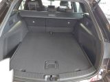 Suzuki Swace bei Sportwagen.expert - Abbildung (13 / 15)