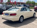 Mercedes-Benz E-Klasse bei Sportwagen.expert - Abbildung (4 / 15)