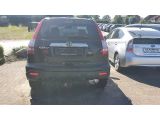 Honda CR-V bei Sportwagen.expert - Abbildung (3 / 4)