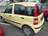 Fiat Panda bei Sportwagen.expert - Abbildung (6 / 11)