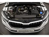 Skoda Kamiq bei Sportwagen.expert - Abbildung (12 / 15)