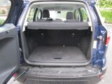 Ford EcoSport bei Sportwagen.expert - Abbildung (7 / 14)