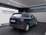 Skoda Karoq bei Sportwagen.expert - Abbildung (8 / 15)