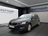 Skoda Octavia bei Sportwagen.expert - Abbildung (3 / 15)