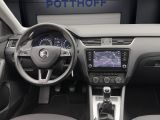 Skoda Octavia bei Sportwagen.expert - Abbildung (15 / 15)