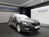 Skoda Octavia bei Sportwagen.expert - Abbildung (9 / 15)