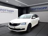 Skoda Octavia bei Sportwagen.expert - Abbildung (3 / 15)