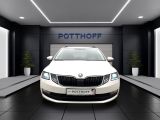 Skoda Octavia bei Sportwagen.expert - Abbildung (10 / 15)