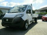 Fiat Ducato bei Sportwagen.expert - Abbildung (2 / 10)