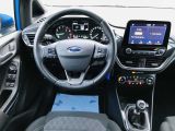 Ford Fiesta bei Sportwagen.expert - Abbildung (12 / 15)