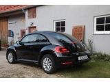 VW Beetle bei Sportwagen.expert - Abbildung (3 / 15)