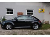 VW Beetle bei Sportwagen.expert - Abbildung (2 / 15)