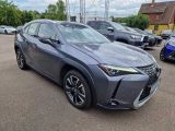 Lexus UX bei Sportwagen.expert - Abbildung (8 / 15)