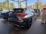 Lexus NX bei Sportwagen.expert - Abbildung (4 / 15) Lexus NX bei Sportwagen.expert - Abbildung (4 / 15)