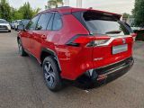 Toyota RAV 4 bei Sportwagen.expert - Abbildung (3 / 15)