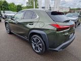 Lexus UX bei Sportwagen.expert - Abbildung (2 / 13)