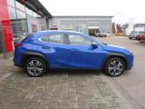 Lexus UX bei Sportwagen.expert - Abbildung (6 / 15)