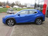 Lexus UX bei Sportwagen.expert - Abbildung (2 / 15)