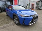 Lexus UX bei Sportwagen.expert - Abbildung (7 / 15)