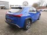 Lexus UX bei Sportwagen.expert - Abbildung (5 / 15)