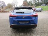 Lexus UX bei Sportwagen.expert - Abbildung (4 / 15)