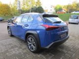 Lexus UX bei Sportwagen.expert - Abbildung (4 / 15)