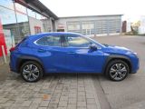 Lexus UX bei Sportwagen.expert - Abbildung (7 / 15)
