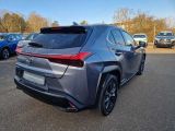 Lexus UX bei Sportwagen.expert - Abbildung (5 / 14)